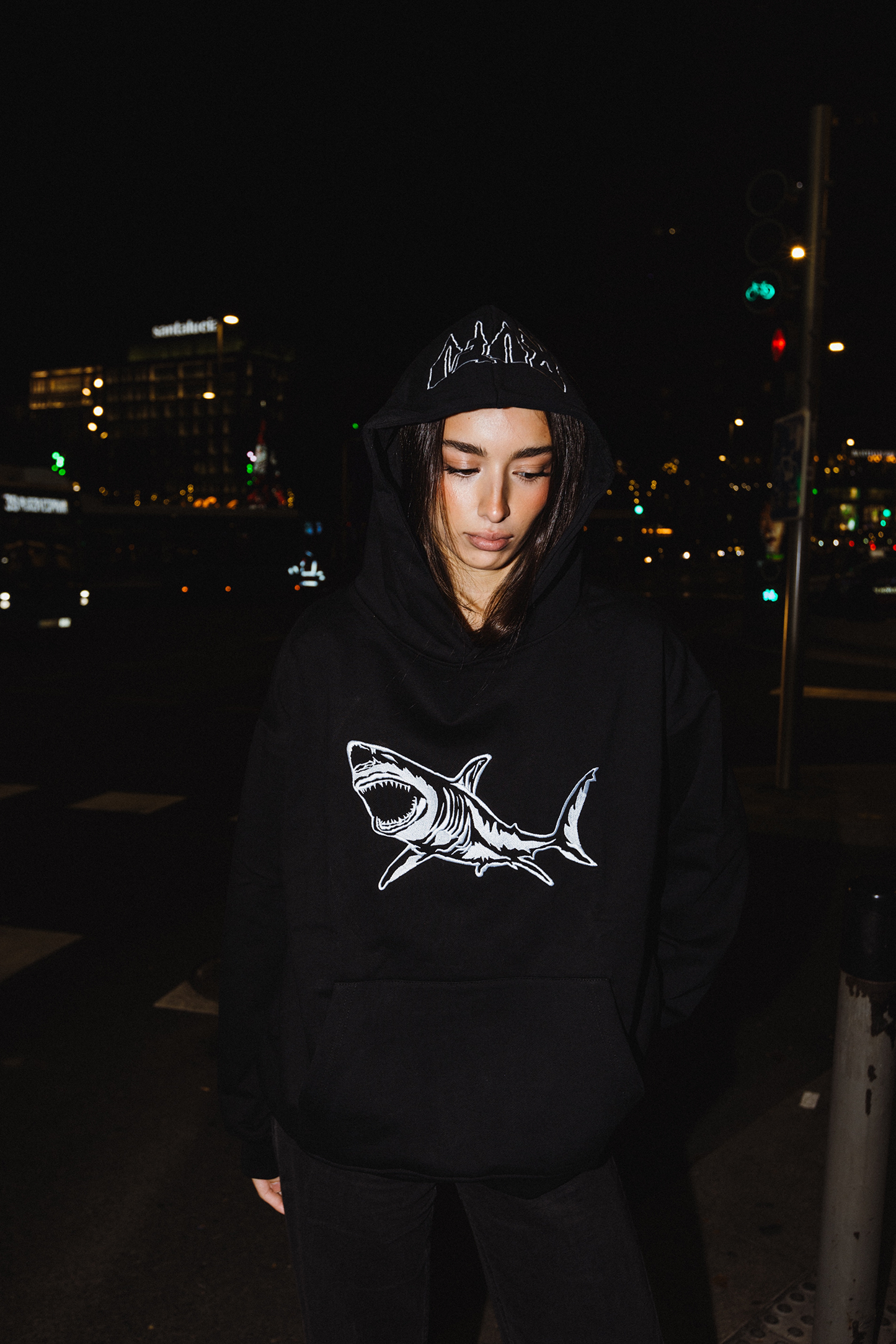 HOODIE TIBURON RVFV